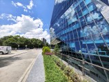 Daylight samples, ultrawide camera (0.5x) - 12mm, f/2.0, ISO 146, 1/343s (4096x3072px) - Motorola Razr Fold review