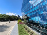 Daylight samples, ultrawide camera (0.6x) - 16mm, f/2.0, ISO 50, 1/1751s (4096x3072px) - Oppo Reno16 Pro review