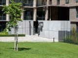 Daylight samples, telephoto camera (3.5x) - 85mm, f/2.8, ISO 50, 1/565s (4096x3072px) - Oppo Reno16 review